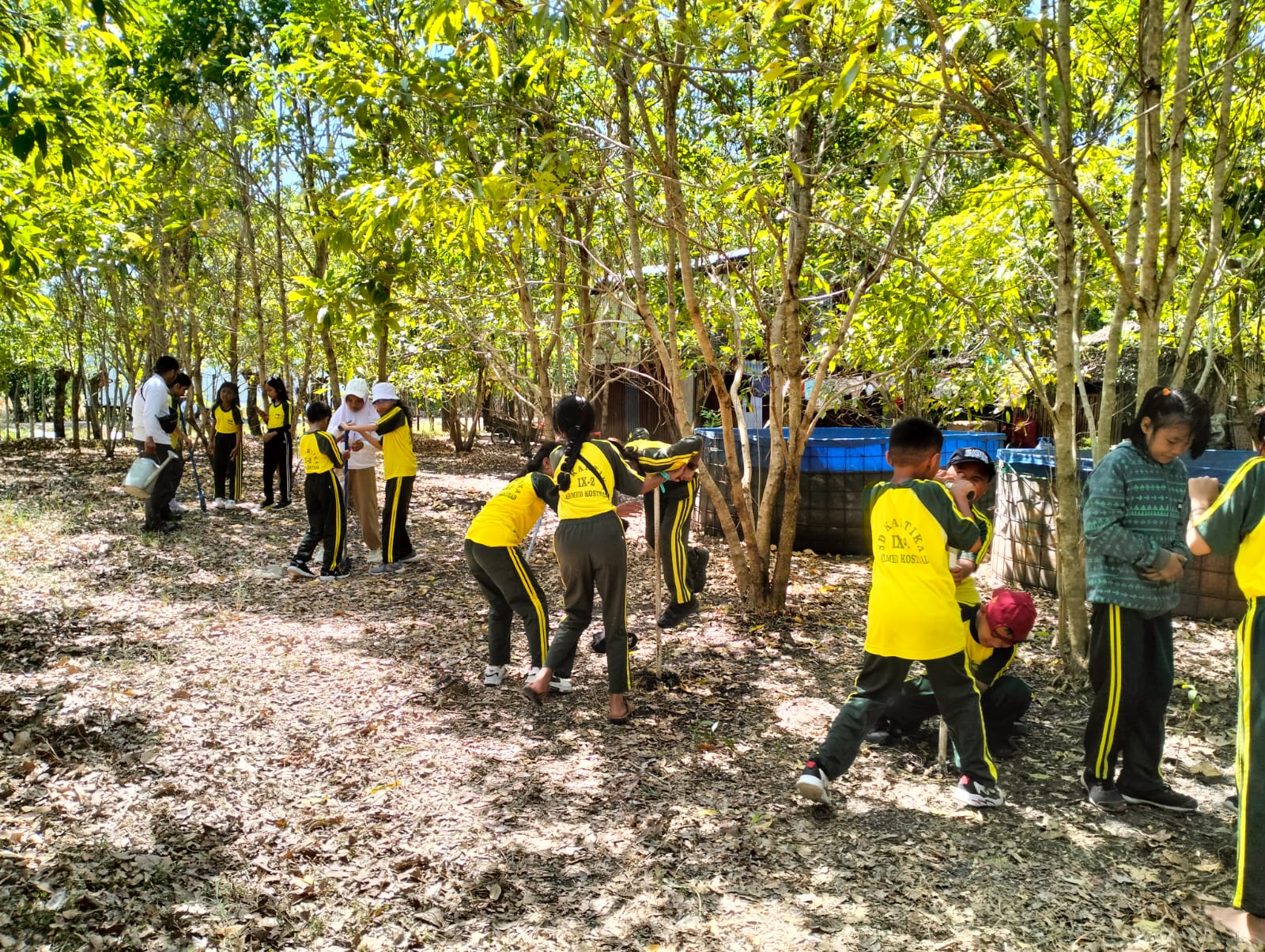 Hutan Rakyat