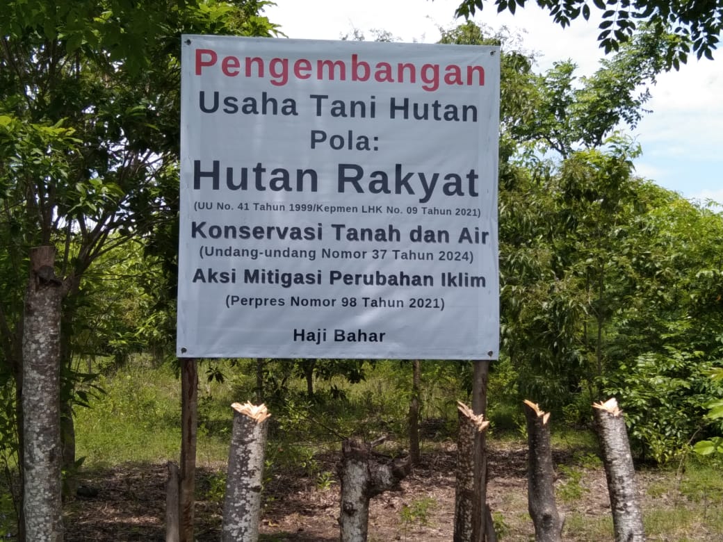 Hutan Rakyat